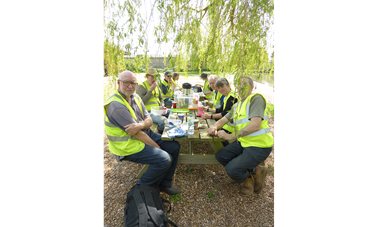A pleasant lunch under the willow 