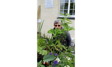 BVGA plant sale - BVGA members selling plants and compost